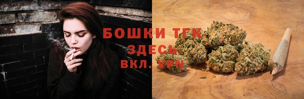 apvp Белокуриха