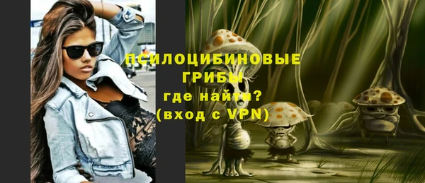 apvp Белокуриха