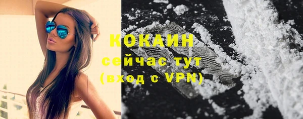 apvp Белокуриха