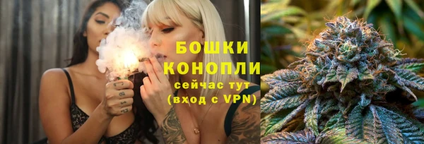 apvp Белокуриха