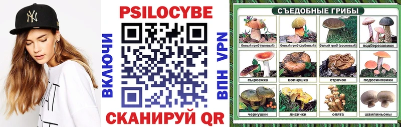Псилоцибиновые грибы Psilocybe  Курильск 