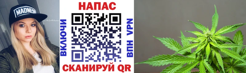 Шишки марихуана сатива  купить закладку  Курильск 